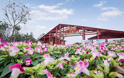 9888拉斯维加斯(中国游)官方网站