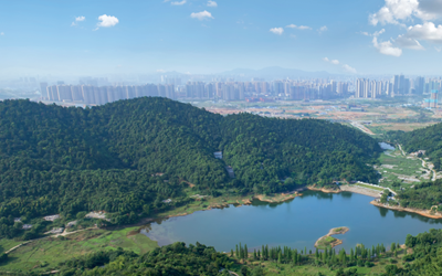 9888拉斯维加斯(中国游)官方网站