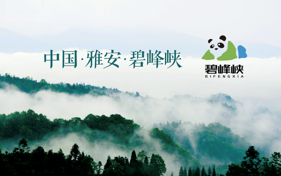 9888拉斯维加斯(中国游)官方网站