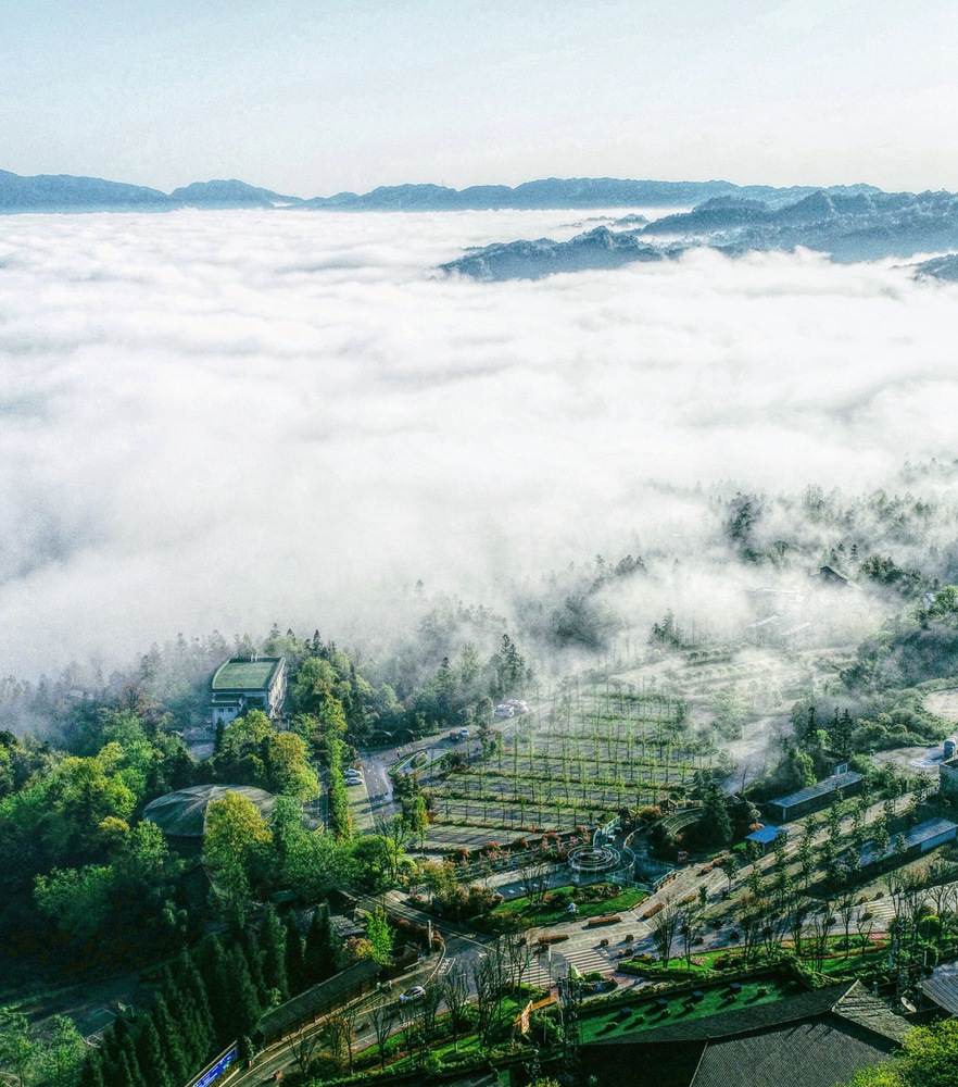 9888拉斯维加斯(中国游)官方网站