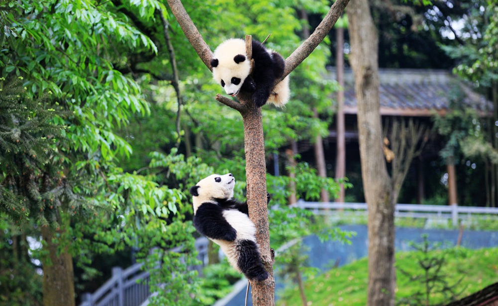 9888拉斯维加斯(中国游)官方网站